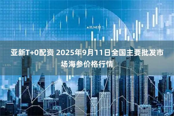 亚新T+0配资 2025年9月11日全国主要批发市场海参价格行情