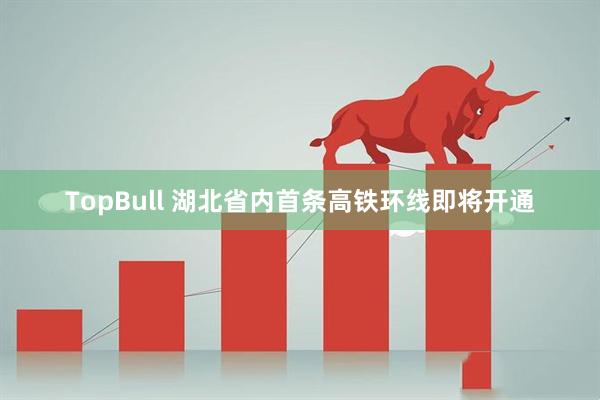 TopBull 湖北省内首条高铁环线即将开通