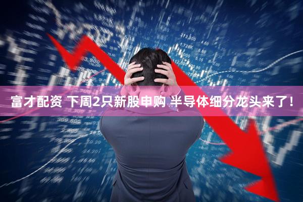 富才配资 下周2只新股申购 半导体细分龙头来了！