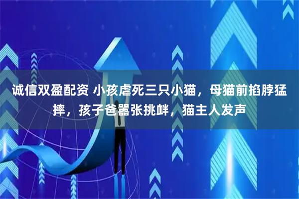 诚信双盈配资 小孩虐死三只小猫，母猫前掐脖猛摔，孩子爸嚣张挑衅，猫主人发声