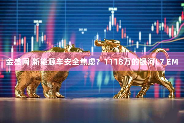 金盛网 新能源车安全焦虑？1118万的银河L7 EM