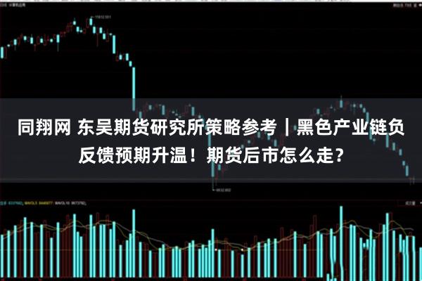 同翔网 东吴期货研究所策略参考｜黑色产业链负反馈预期升温！期货后市怎么走？