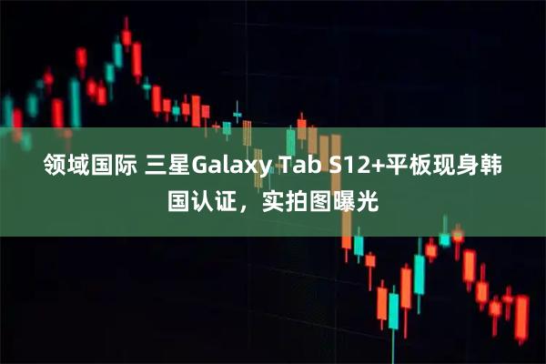 领域国际 三星Galaxy Tab S12+平板现身韩国认证，实拍图曝光